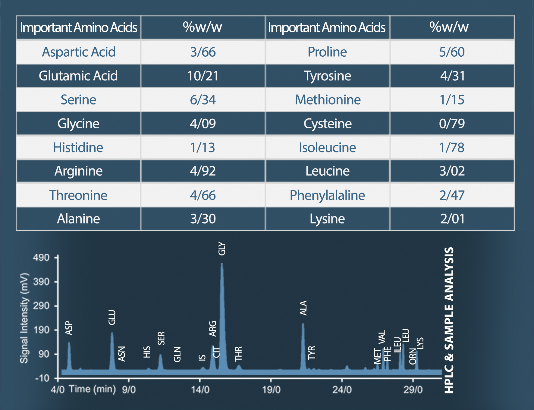 اسیدآمینه پودری - تصویر 2